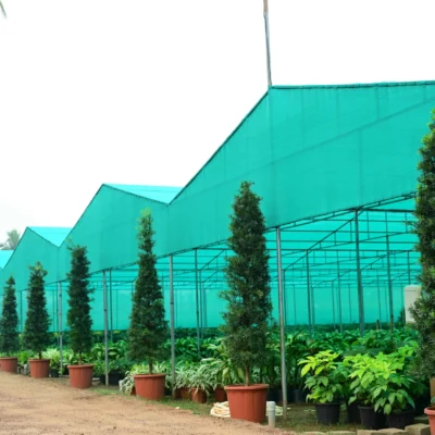 Green Shade Net House